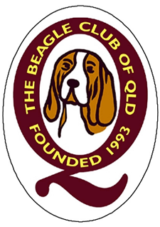 Beagle Club of Queensland Logo